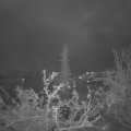 Webcam_20211129-070000
