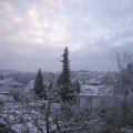 Webcam_20211129-083000