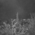 Webcam_20211129-193000