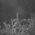 Webcam_20211129-194500