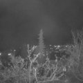 Webcam_20211129-201500