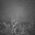 Webcam_20211130-174500