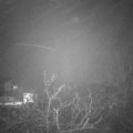 Webcam_20211130-183000