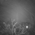 Webcam_20211130-184500