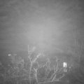 Webcam_20211130-190000