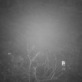 Webcam_20211130-191500