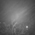 Webcam_20211130-194500