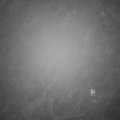 Webcam_20211130-201500