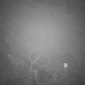 Webcam_20211130-203000