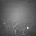 Webcam_20211130-210000