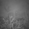 Webcam_20211130-211500