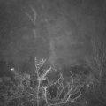 Webcam_20211130-213000