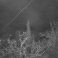 Webcam_20211201-050000