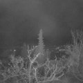 Webcam_20211201-051500