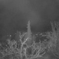 Webcam_20211201-054500