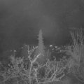 Webcam_20211201-060000