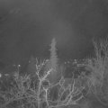 Webcam_20211202-050000