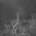 Webcam_20211202-060000