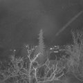 Webcam_20211202-061500