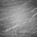 Webcam_20211203-050000