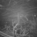 Webcam_20211203-051500
