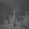 Webcam_20211203-060000