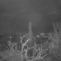 Webcam_20211203-070000