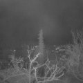 Webcam_20211204-050000