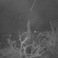 Webcam_20211204-053000