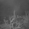 Webcam_20211204-054500