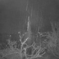 Webcam_20211204-060000