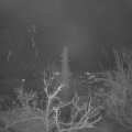 Webcam_20211204-061500