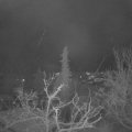 Webcam_20211204-063000