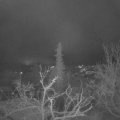 Webcam_20211204-070000