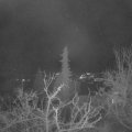 Webcam_20211206-061500