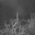 Webcam_20211206-063000