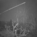 Webcam_20211207-053000