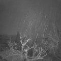 Webcam_20211207-061500