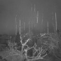 Webcam_20211207-070000