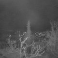 Webcam_20211208-054500
