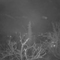 Webcam_20211209-050000