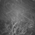 Webcam_20211209-064500