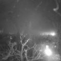 Webcam_20211209-071500