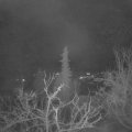 Webcam_20211210-060000