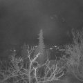 Webcam_20211210-063000
