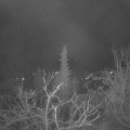 Webcam_20211212-054500