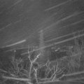 Webcam_20211213-050000