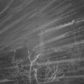 Webcam_20211213-053000