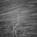 Webcam_20211213-061500