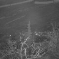 Webcam_20211213-070000